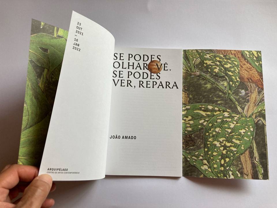 Exposição “Se podes olhar, vê. Se podes ver, repara”